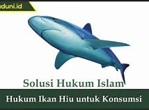 Ikan Hiu Itu Halal Atau Haram